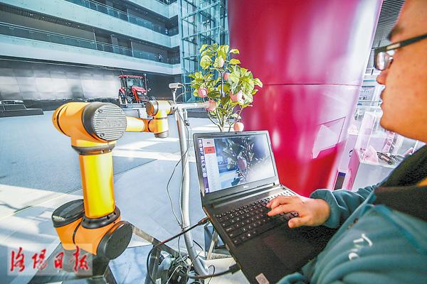 已經是最后一頁了